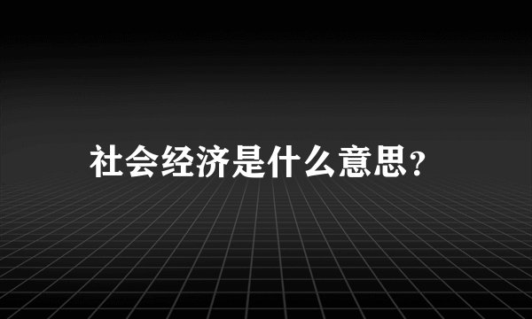 社会经济是什么意思？