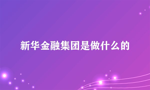 新华金融集团是做什么的