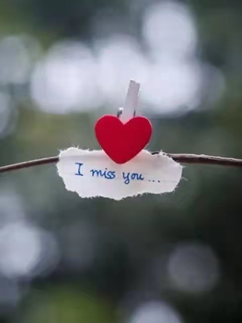 i miss you什么意思