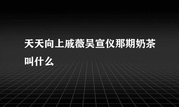 天天向上戚薇吴宣仪那期奶茶叫什么