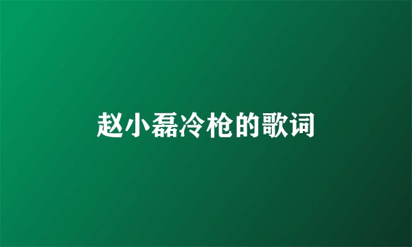 赵小磊冷枪的歌词