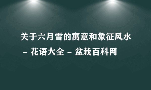 关于六月雪的寓意和象征风水 - 花语大全 - 盆栽百科网