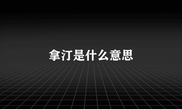 拿汀是什么意思