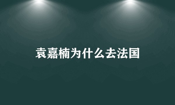 袁嘉楠为什么去法国