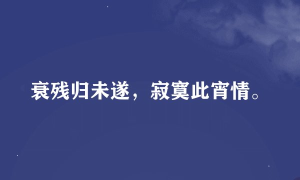 衰残归未遂，寂寞此宵情。