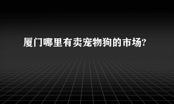 厦门哪里有卖宠物狗的市场?