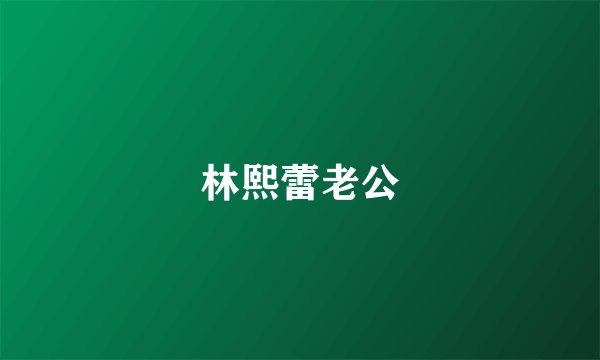 林熙蕾老公