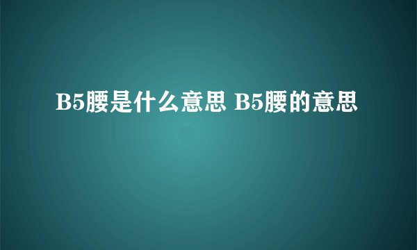 B5腰是什么意思 B5腰的意思