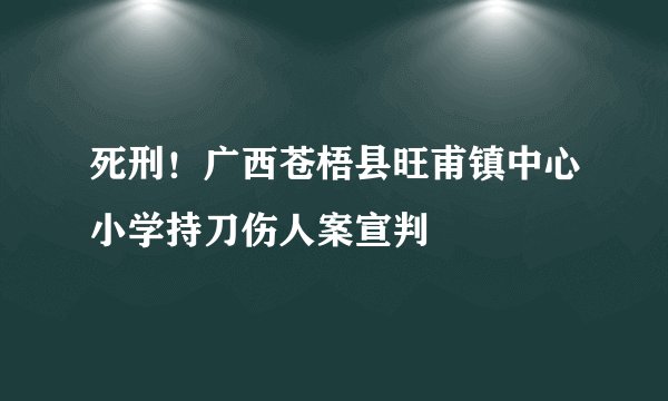 死刑！广西苍梧县旺甫镇中心小学持刀伤人案宣判