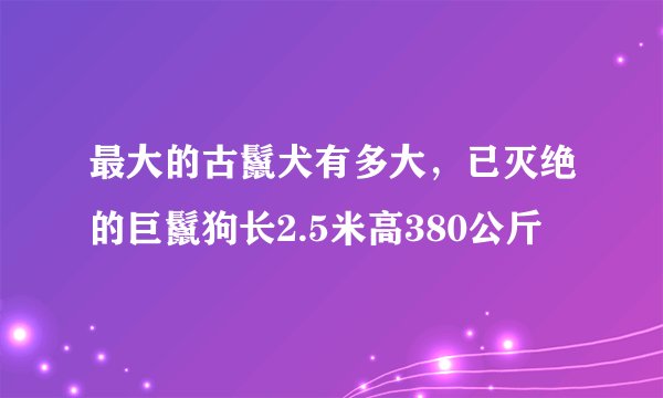 最大的古鬣犬有多大，已灭绝的巨鬣狗长2.5米高380公斤