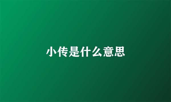 小传是什么意思