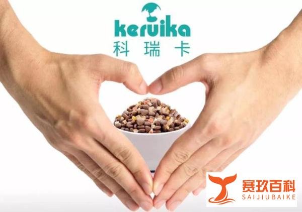 猫咪为什么爱玩毛线球?「科瑞卡科普」