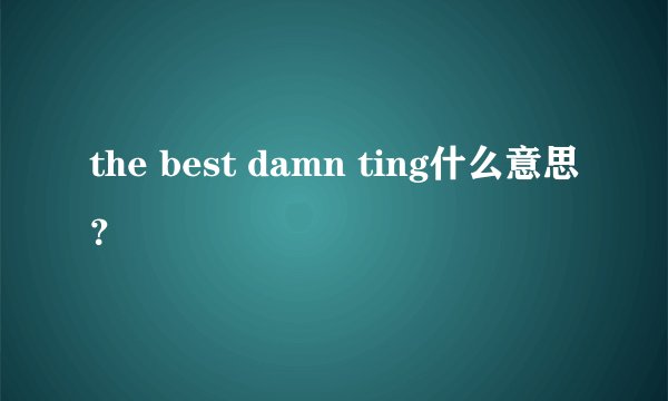 the best damn ting什么意思？