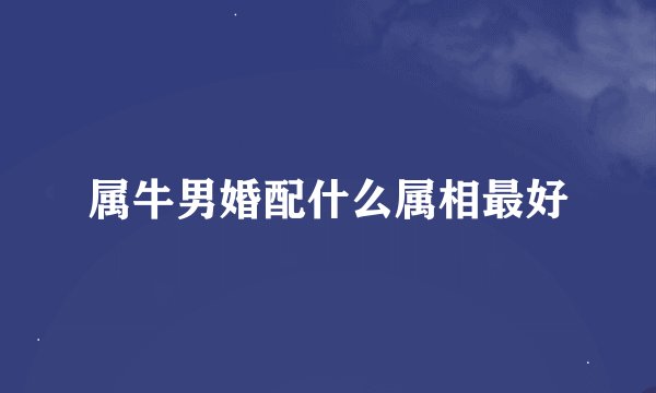 属牛男婚配什么属相最好