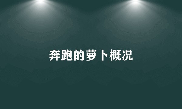 奔跑的萝卜概况