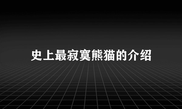 史上最寂寞熊猫的介绍