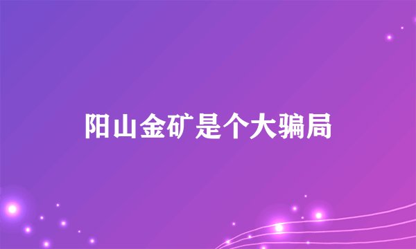 阳山金矿是个大骗局