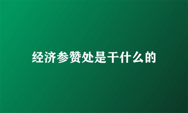 经济参赞处是干什么的