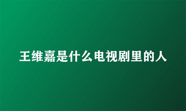 王维嘉是什么电视剧里的人