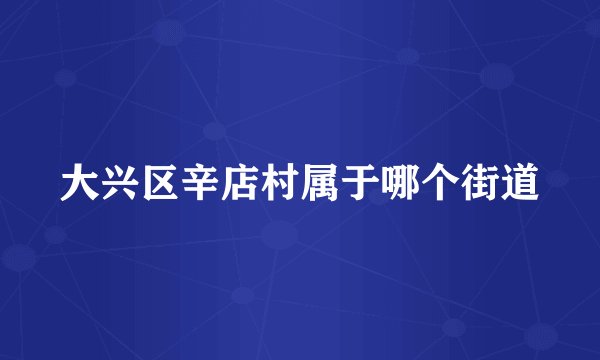 大兴区辛店村属于哪个街道