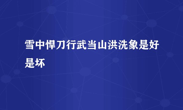 雪中悍刀行武当山洪洗象是好是坏