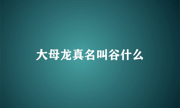 大母龙真名叫谷什么