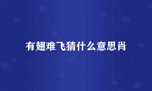 有翅难飞猜什么意思肖