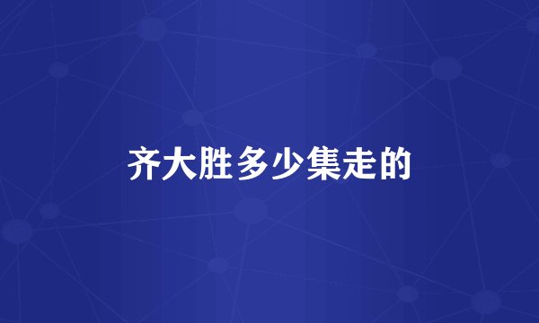 齐大胜多少集走的