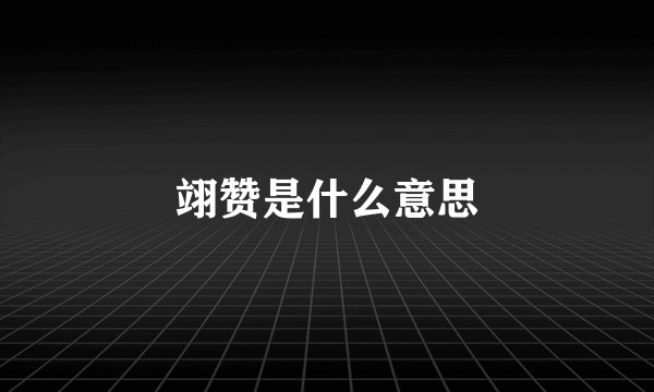 翊赞是什么意思