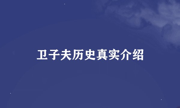 卫子夫历史真实介绍