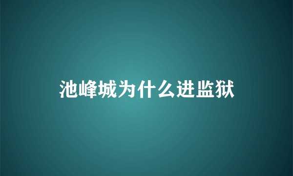 池峰城为什么进监狱