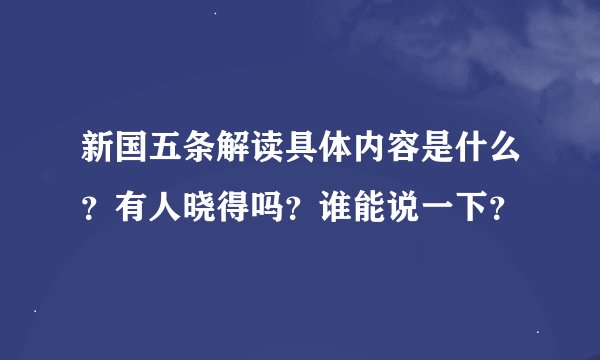 新国五条解读具体内容是什么？有人晓得吗？谁能说一下？