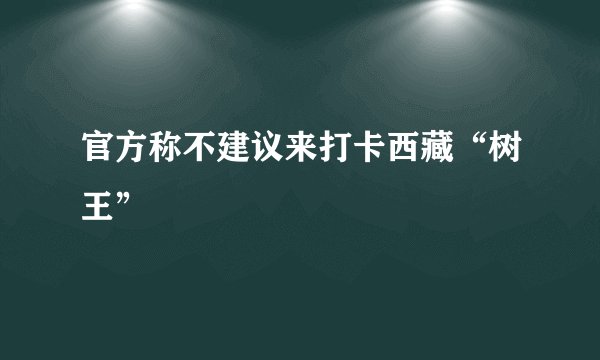 官方称不建议来打卡西藏“树王”
