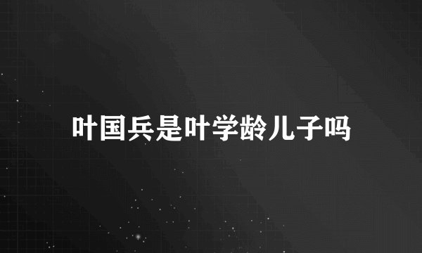 叶国兵是叶学龄儿子吗
