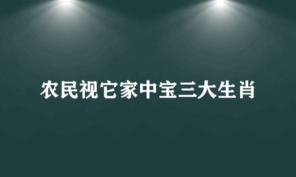 农民视它家中宝三大生肖