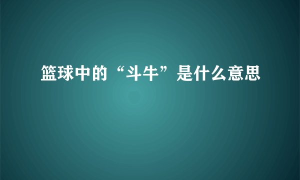 篮球中的“斗牛”是什么意思