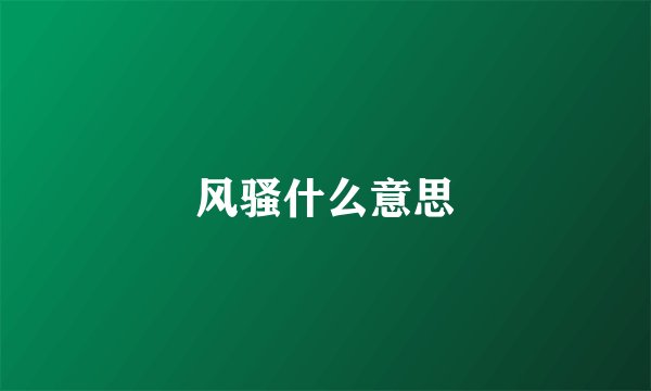 风骚什么意思