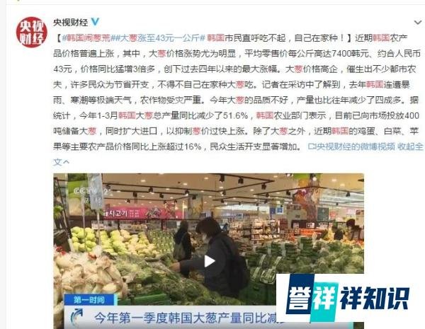 韩国大葱涨至43元一公斤 到底什么情况？