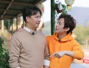 何炅黄磊退出合伙投资公司，明星们都热衷于做什么生意？