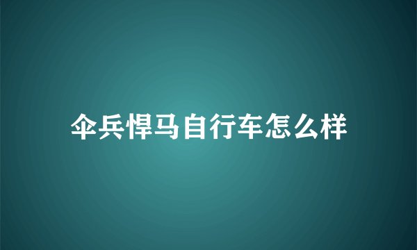 伞兵悍马自行车怎么样