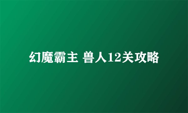 幻魔霸主 兽人12关攻略