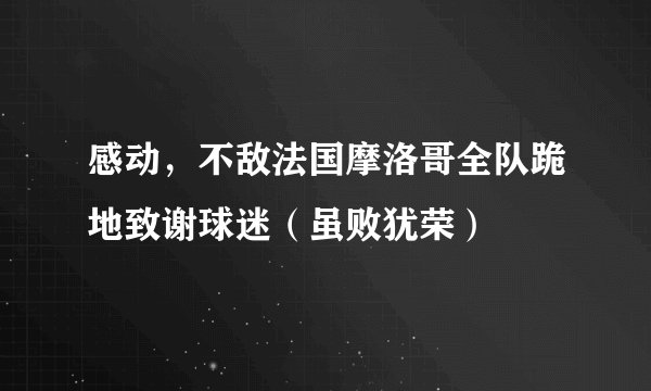 感动，不敌法国摩洛哥全队跪地致谢球迷（虽败犹荣）
