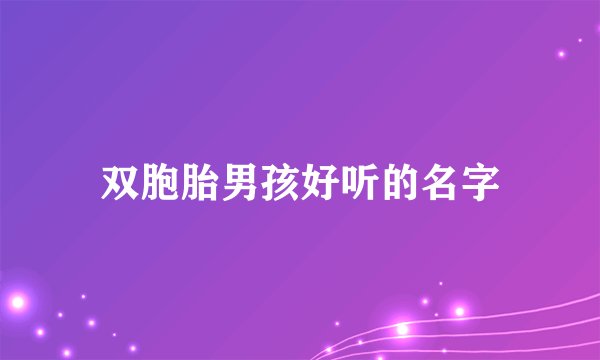 双胞胎男孩好听的名字