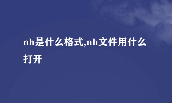 nh是什么格式,nh文件用什么打开