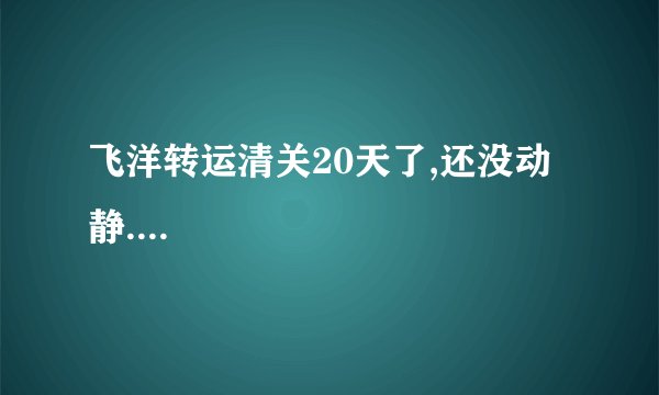 飞洋转运清关20天了,还没动静....