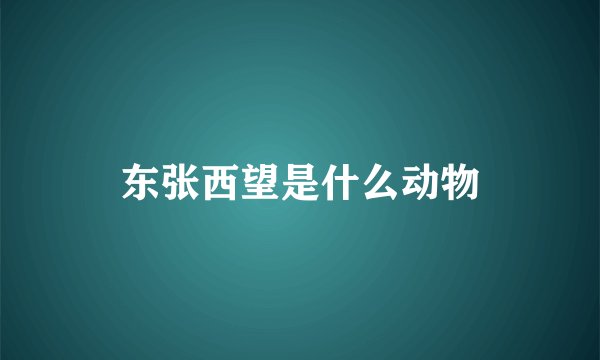 东张西望是什么动物