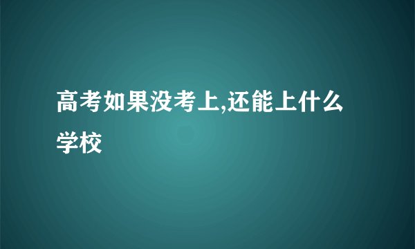高考如果没考上,还能上什么学校