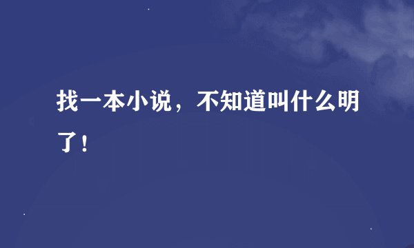 找一本小说，不知道叫什么明了！
