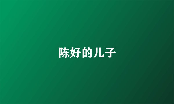 陈好的儿子