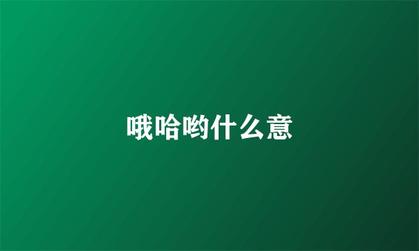 哦哈哟什么意